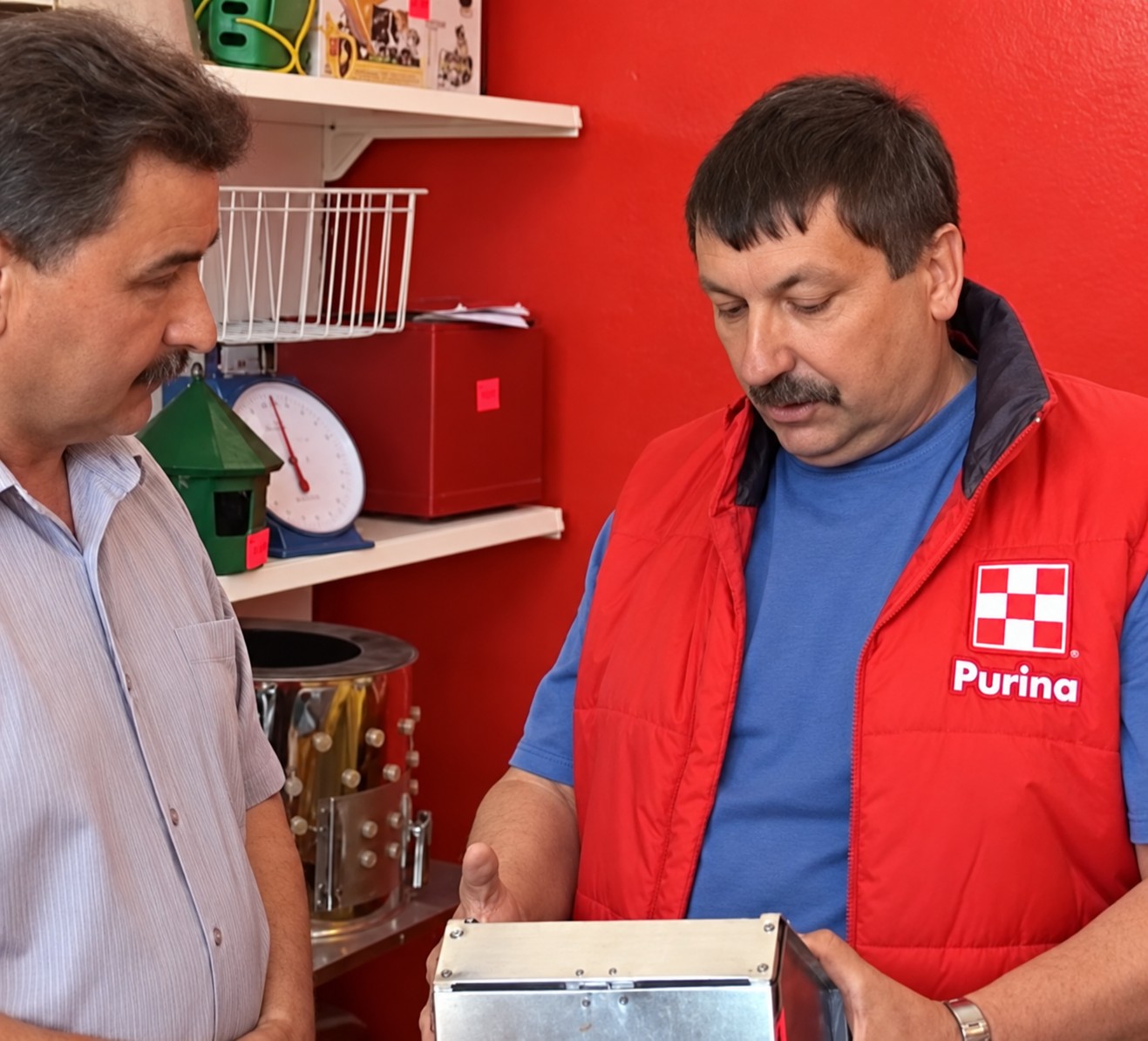 Консультация по выбору кормов Purina